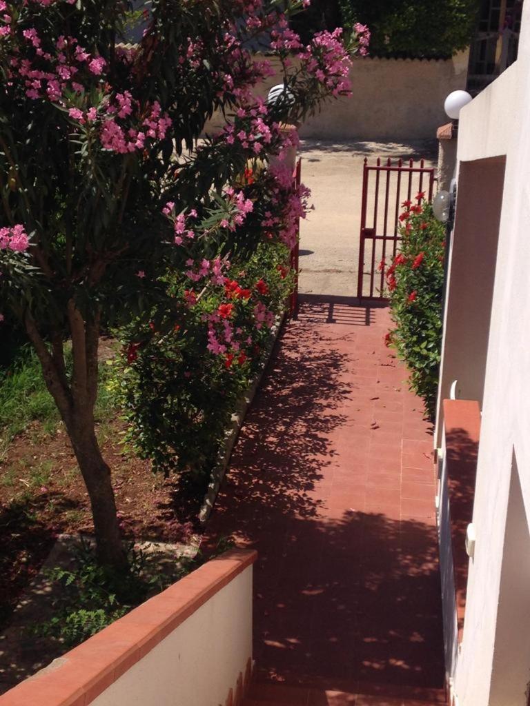 Appartamento Con Veranda Primo Piano 瑞塔尼 外观 照片